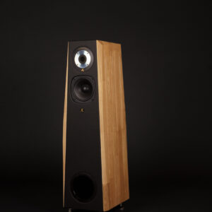 AT 16 Pro (la paire)