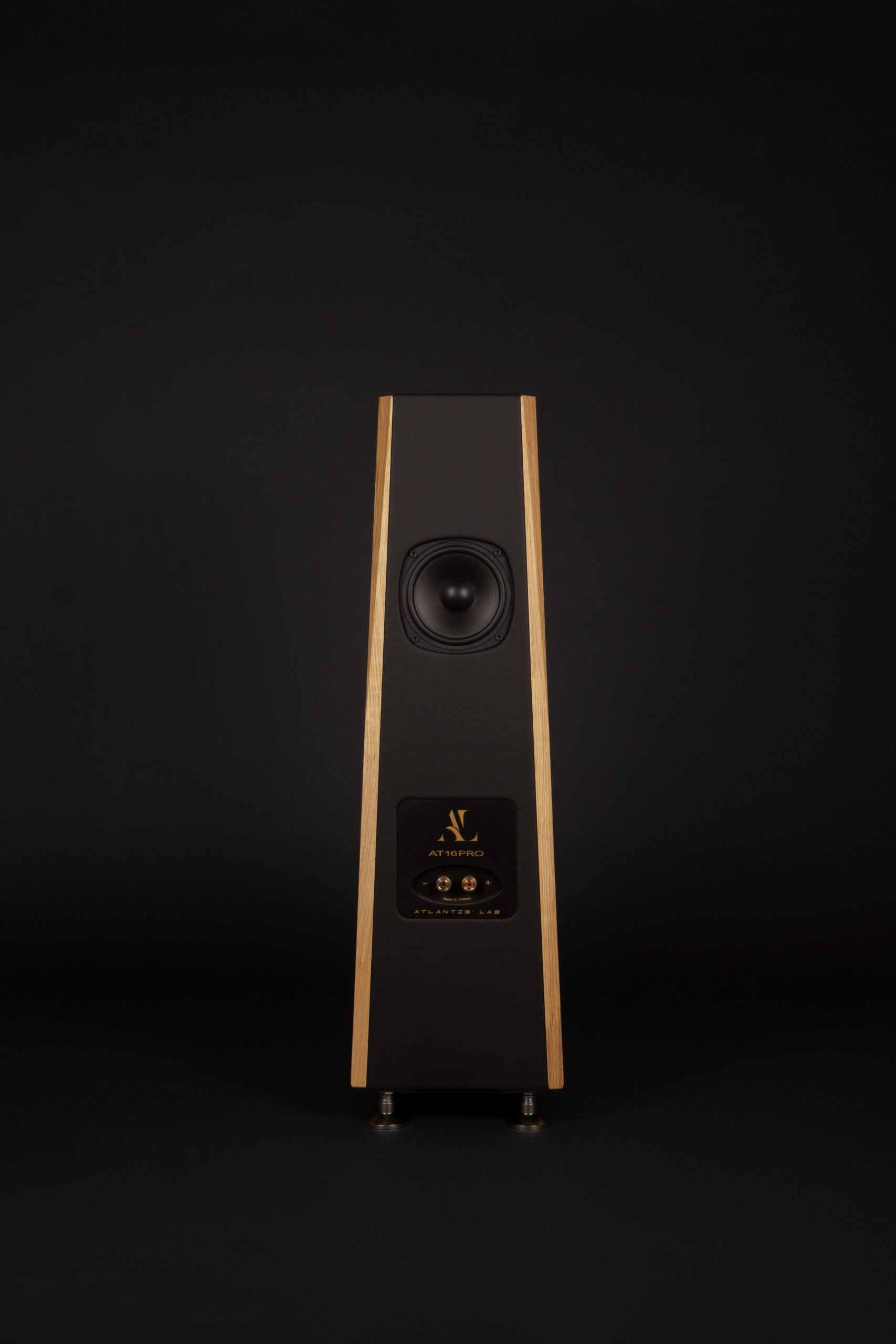 AT 16 Pro (la paire) – Image 2