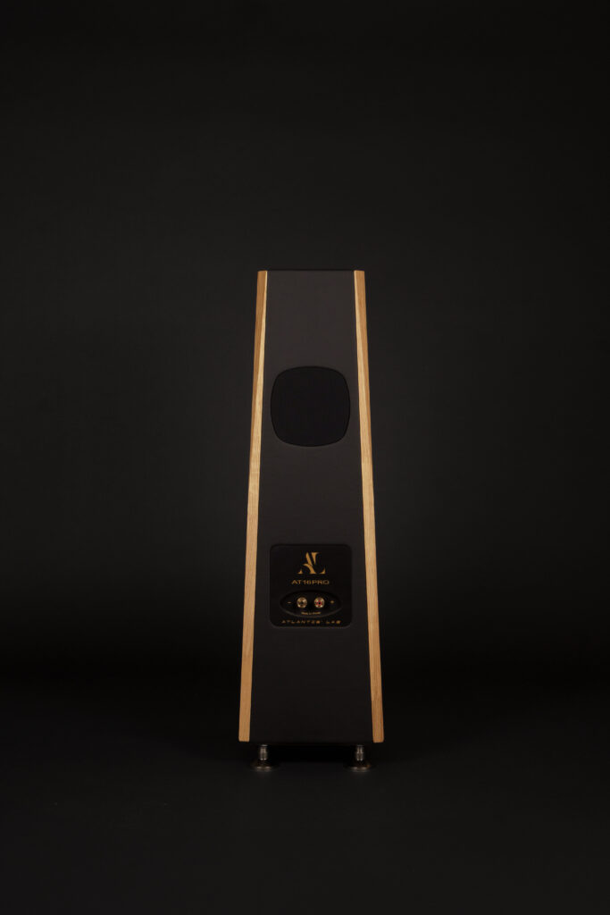 AT 16 Pro (la paire) – Image 3