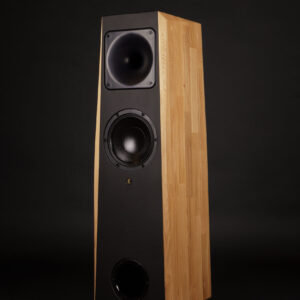 AT 23 Pro (la paire)