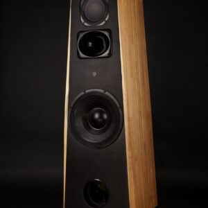 AT 31 Pro (la paire)