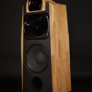 AT 38 Pro (la paire)