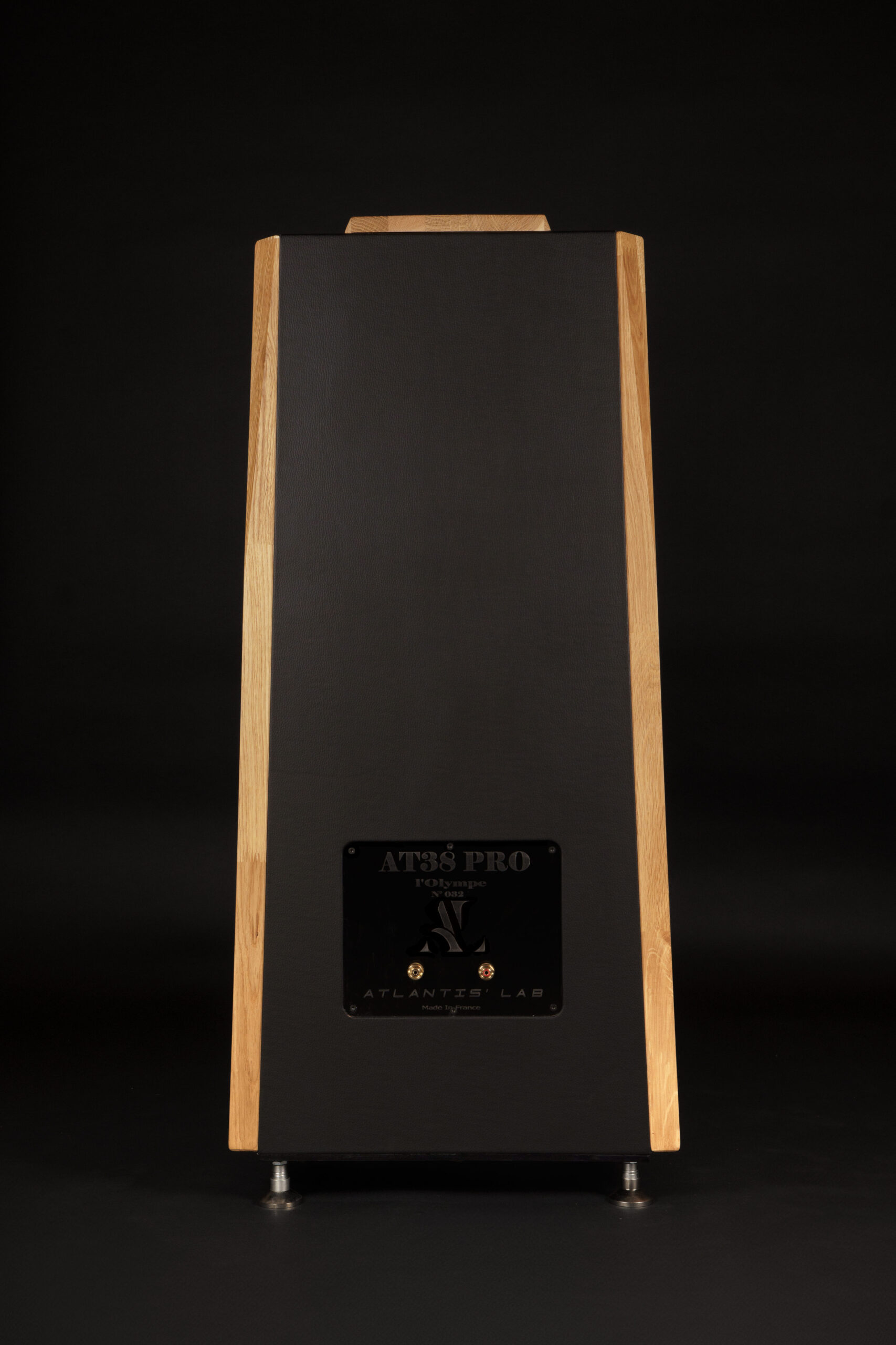 AT 38 Pro (la paire) – Image 2
